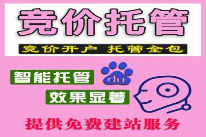 SEM推广实战：案例分析及优化路径
