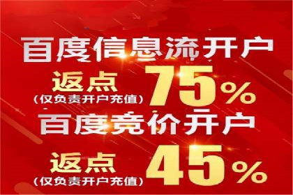 专业SEM服务托管方案案例分析
